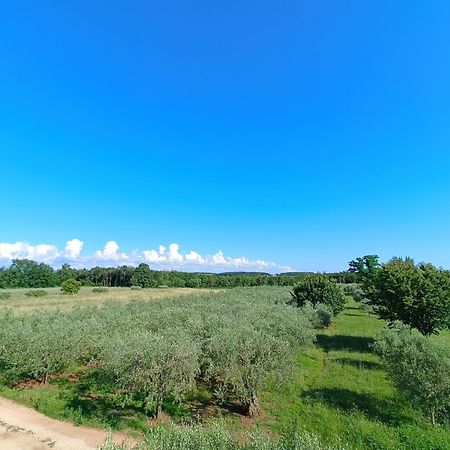 Apartman Ika Umag Exteriér fotografie