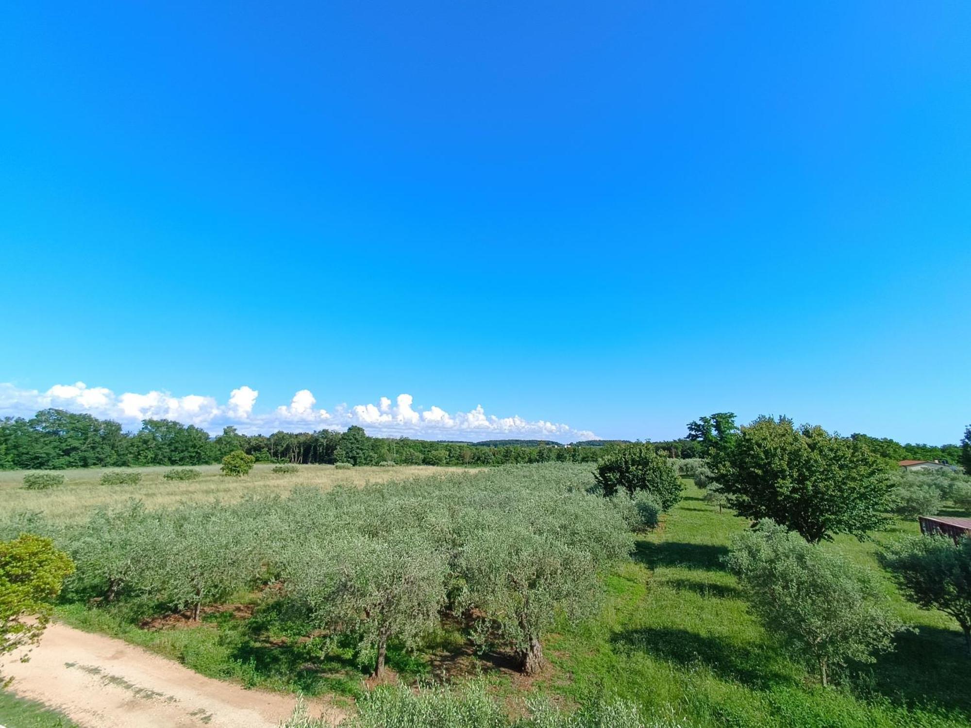 Apartman Ika Umag Exteriér fotografie